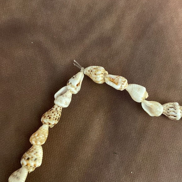 Shell Necklace 16" - Picture 5 of 9